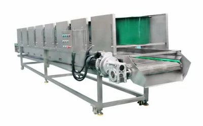 Continuous Potato Chips Dehydrator & Deoiling Machine